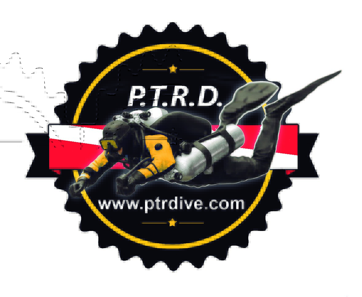 Logo - PTRD